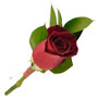 Boutonnieres - 6