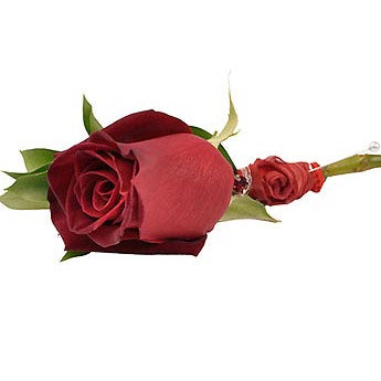 Passionate Red - Groom's Boutonniere