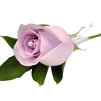 Sweet & Innocent - Groom's Boutonniere