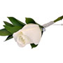 Groom's Boutonniere