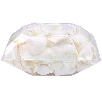 Timeless Elegance - Rose Petals